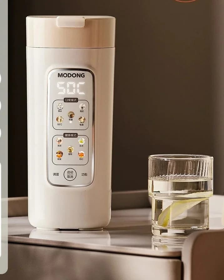 Kaasaskantav elektriline veekeetja filtriga, 220V