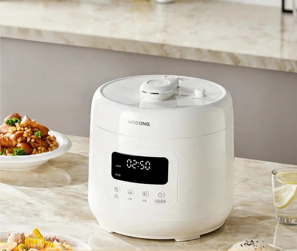 4L elektriline survekeetja keraamilise sisepotiga, 800W, 17-24H taimer