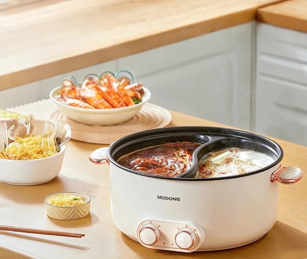 Kahe reguleerimisega elektriline hot pot 6L suure mahuga mittenakkuv