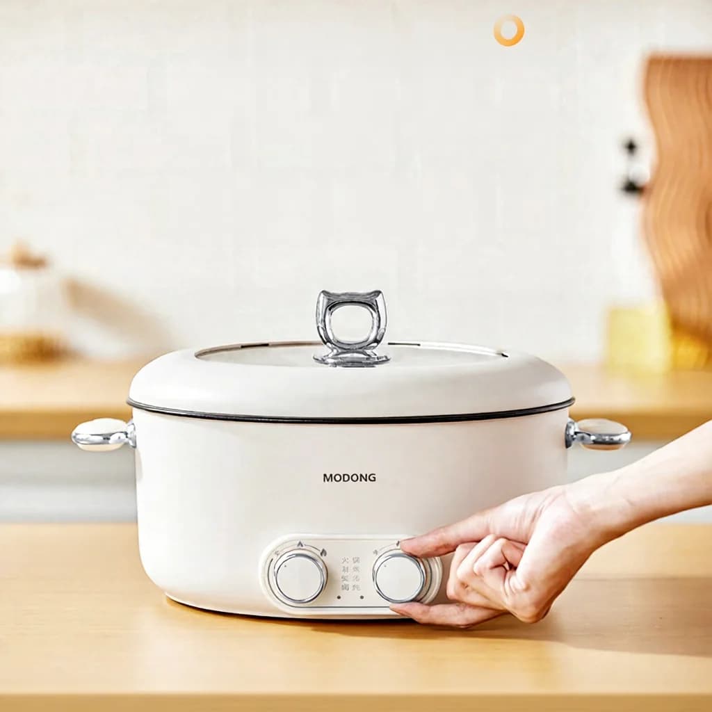 Kahe reguleerimisega elektriline hot pot 6L suure mahuga mittenakkuv