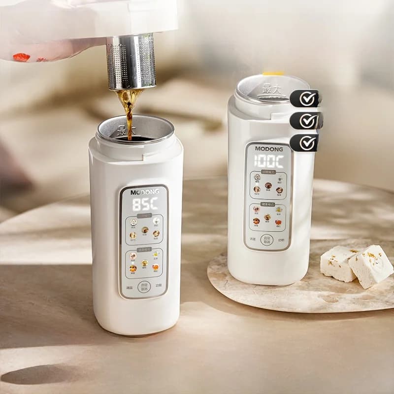 Kaasaskantav elektriline veekuumutusega tass filtriga, 220V