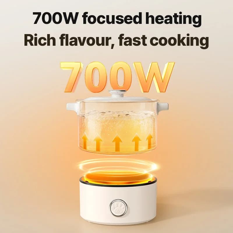 Kaasaskantav kokkupandav elektriline keedupott 110V-220V 550W/700W